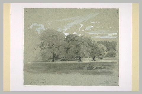 Paysage avec des arbres, image 1/1
