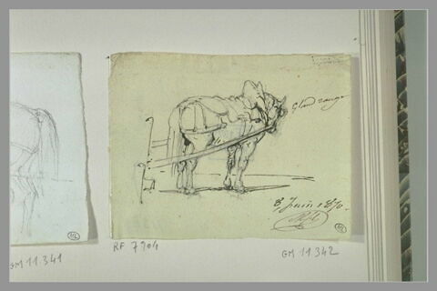 Cheval attelé à une charrette, tourné vers la droite, image 1/1
