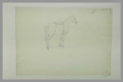 Cheval sellé, debout, tourné vers la droite ; tête de cheval à Londres, image 1/1