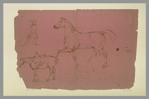 Une figure ; cheval, jambe avant gauche levée, de profil ; cheval de profil