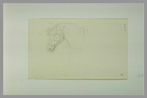 Tête de cheval, équipée de bride et d'oeillère, de profil vers la gauche
