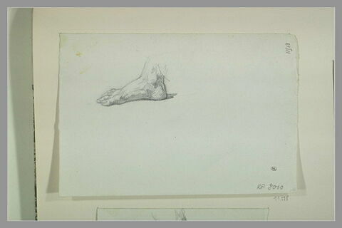 Etude de pied droit, de profil, posé sur le sol, image 1/1