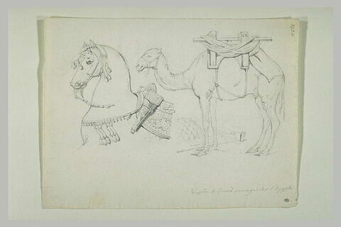 Tête de cheval avec harnachement antique, de profil à gauche ; dromadaire