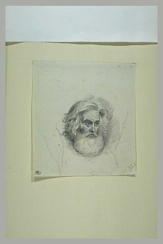 Tête de vieillard chevelu et barbu, image 1/1