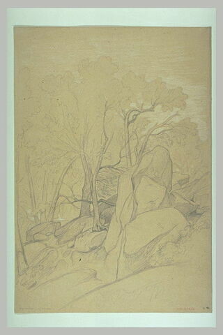 Rochers dans la forêt de Fontainebleau, image 1/1