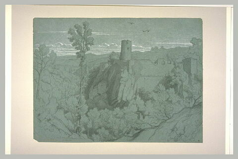 Ruines d'un château-fort sur un rocher dominant un vallon, image 1/1