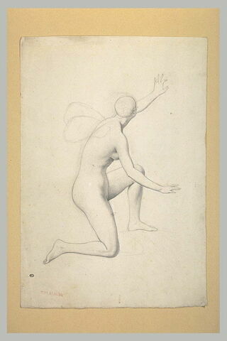 Etude de femme nue, agenouillée sur le genou droit, des ailes dans le dos