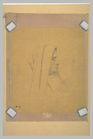 Femme, en buste, de profil vers la droite, un voile sur la tête, image 1/1