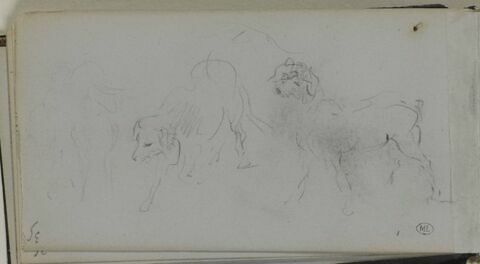 Feuille de croquis: chien, image 1/1