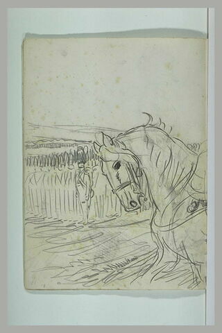L'empereur Napoléon Ier à cheval passant ses troupes en revue, image 1/2