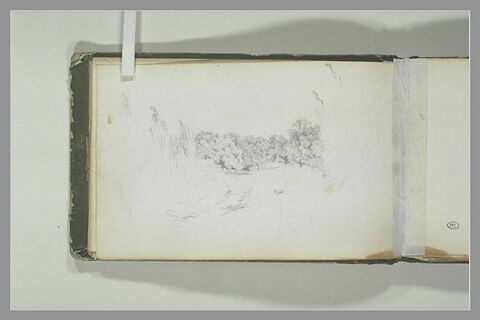 Clairière dans un bois, image 1/1
