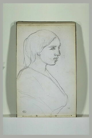 Femme, vue en buste et de profil, image 1/1