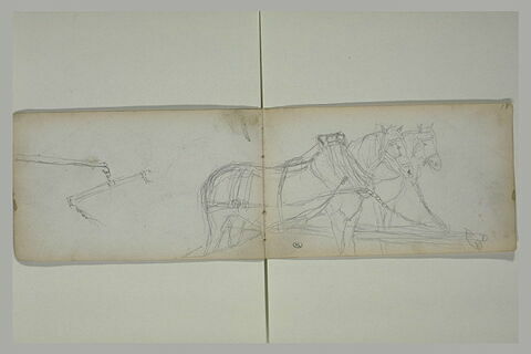 Détail d'un attelage ; postérieur d'un cheval, image 2/4