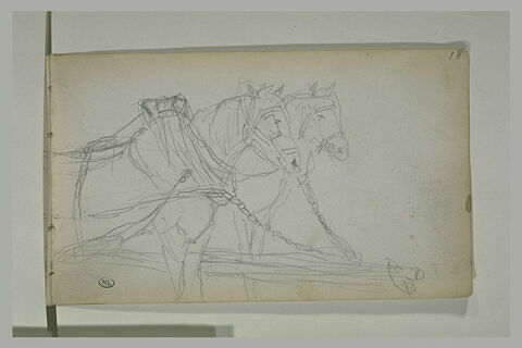 Chevaux attelés, image 3/3