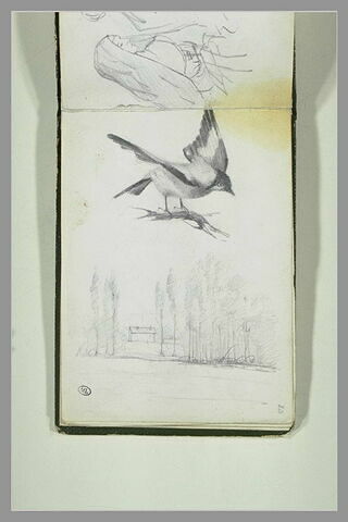 Paysage, et oiseau prenant son envol, image 2/2