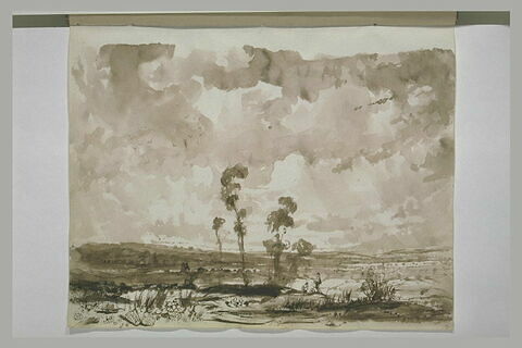 Paysage de plaine avec un bouquet d'arbres au premier plan, image 2/2