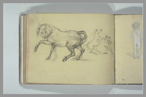 Cheval, de profil à gauche, et cheval se cabrant maintenu par un soldat, image 1/1
