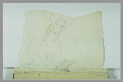 Feuille d'études, image 1/1