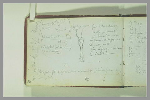 Jambe de cheval, et notes manuscrites, image 1/1