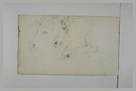 Etudes de la tête et de la jambe d'un cheval, image 1/1