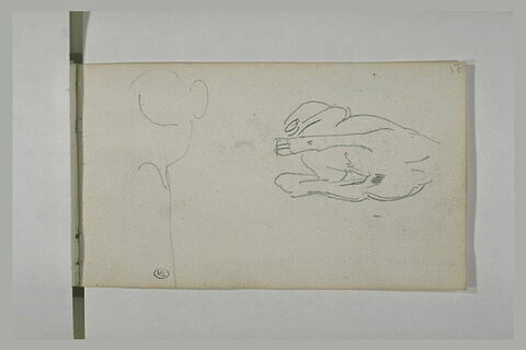 Etude d'un corps de chien, image 1/1