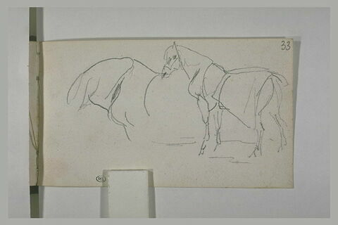Etudes d'un cheval, image 1/1