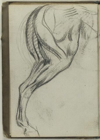Figure de cheval, jambe arrière de profil, image 1/2
