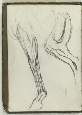 Jambes de cheval, image 1/1