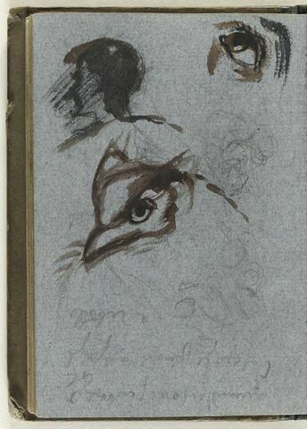 Tête d'homme, de profil à gauche, oeil, et tête de rapace, notes manuscrites, image 1/1