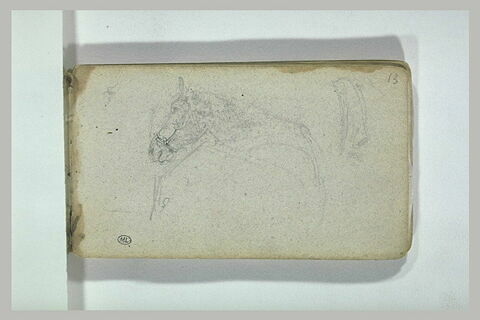 Etude d'un cheval, image 1/1