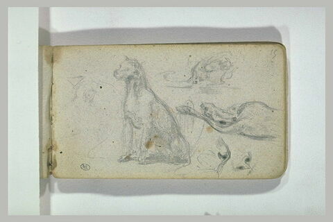 Croquis de chiens, image 1/1