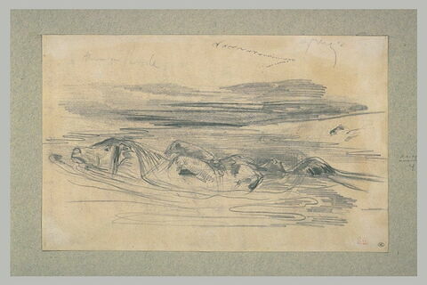 Cheval traversant une rivière avec un homme nu lié sur son dos, image 2/2