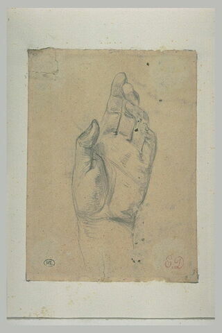 Etude de main gauche, la paume ouverte, image 2/2