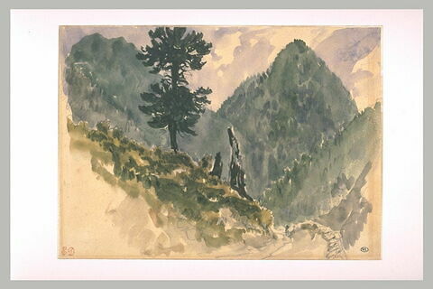 Paysage avec un sapin sur le flanc d'une montagne, image 2/2