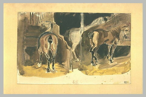 Trois chevaux dans une écurie, image 1/1