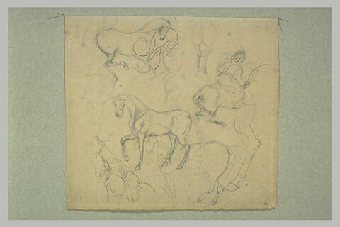 Feuilles d'études avec des chevaux, et un cavalier oriental, image 1/1