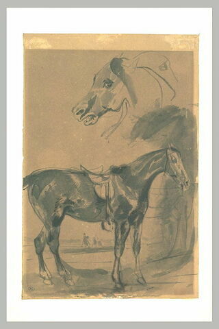 Cheval sellé dans un paysage, et tête de cheval, image 2/3