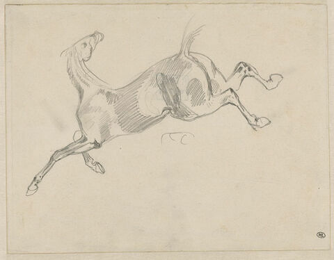 Cheval au galop vers la gauche, image 1/2