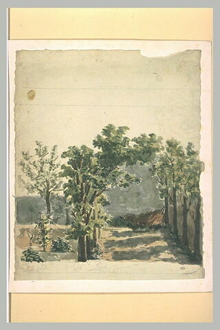 Allée d'arbres, image 1/1
