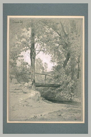 Passerelle rustique, sur un ruisseau, entre des arbres