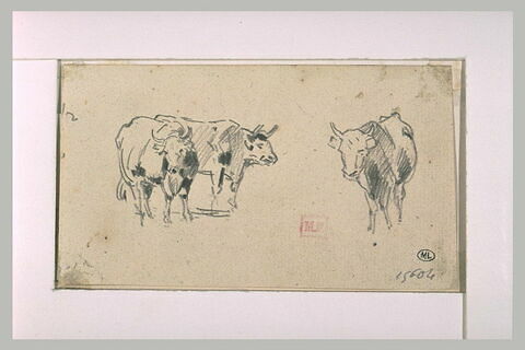Trois vaches, image 1/1