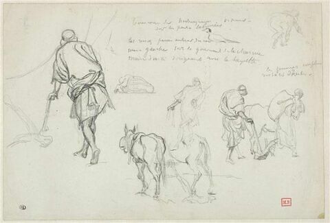 Etudes de paysans arabes et d'ânes, image 1/2