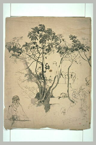 Etudes : arabe assis ; arbre ; âne et ânier, image 2/2