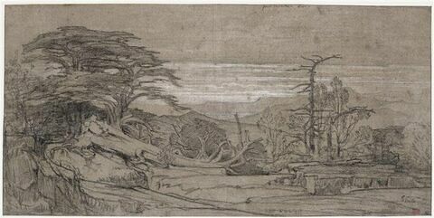 Paysage avec des cèdres, des arbres brisés et des collines, image 1/2