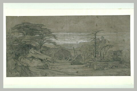 Paysage avec des cèdres, des arbres brisés et des collines, image 2/2
