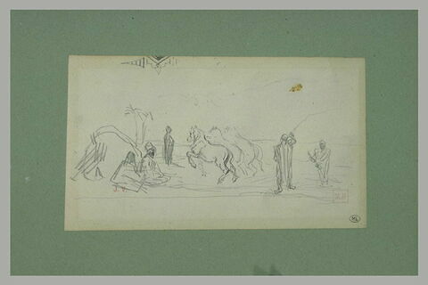 Un arabe faisant manoeuvrer, de front, quatre chevaux, image 1/1
