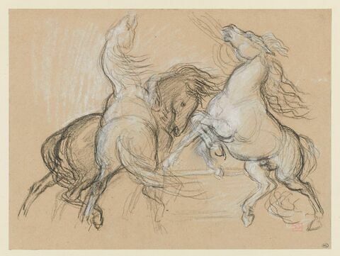Trois chevaux cabrés et agités, image 1/2