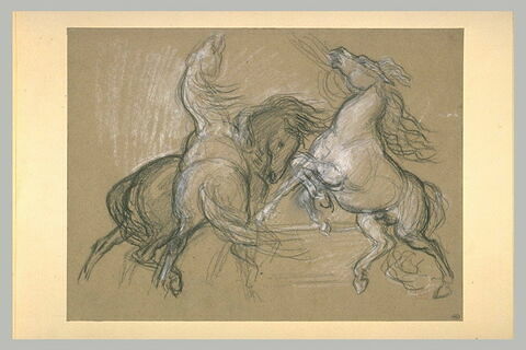 Trois chevaux cabrés et agités, image 2/2