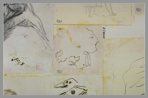 Profils caricaturaux, image 1/1