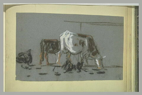 Deux études de vaches, image 1/1